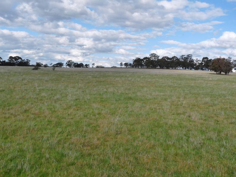 120 acres of Lifestyle. Picture 3