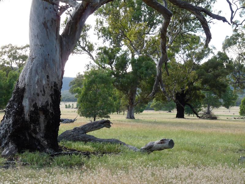 MOUNTAIN VIEWS EVERYWHERE Picture 3