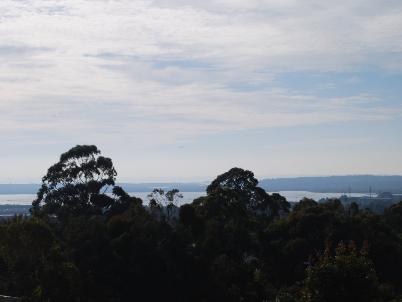 ELEVATED MAGIC Picture 2