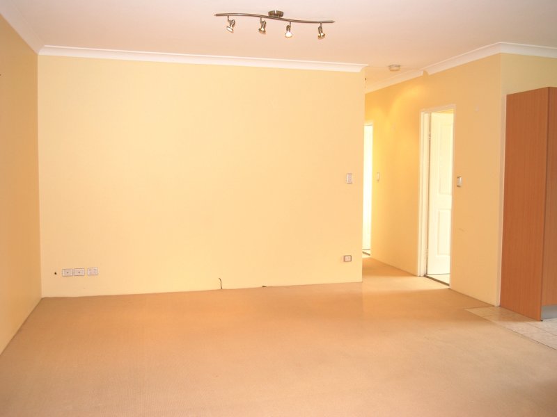 BATHED IN SUNSHINE Picture 2