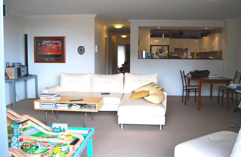 Luxury Apartment Picture 1