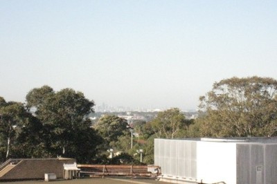 Don't Miss This Picture