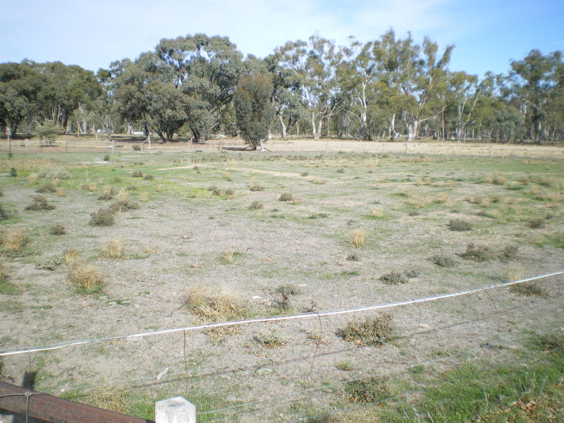 BUILD YOUR DREAM HOME Picture 1