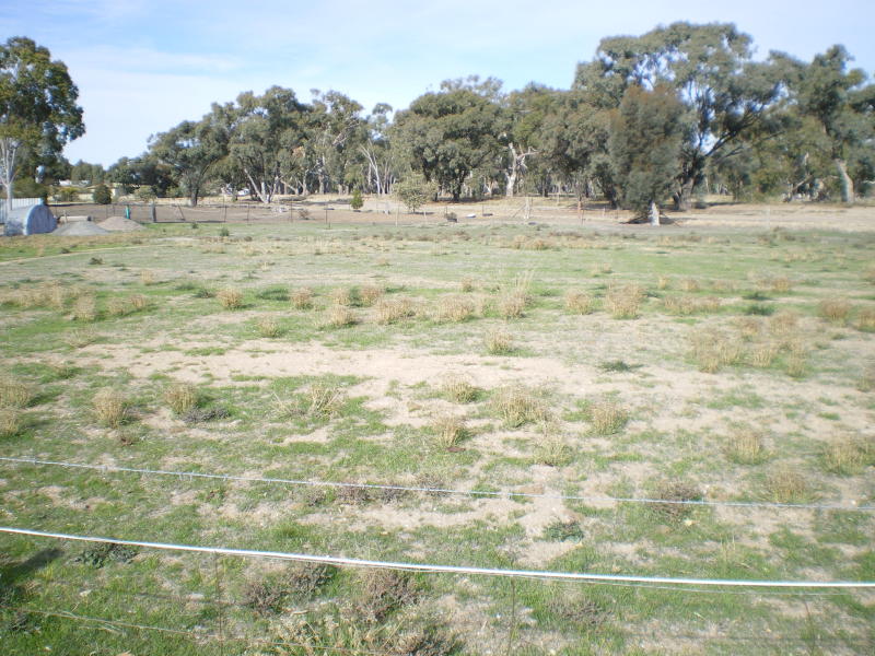 BUILD YOUR DREAM HOME Picture 2