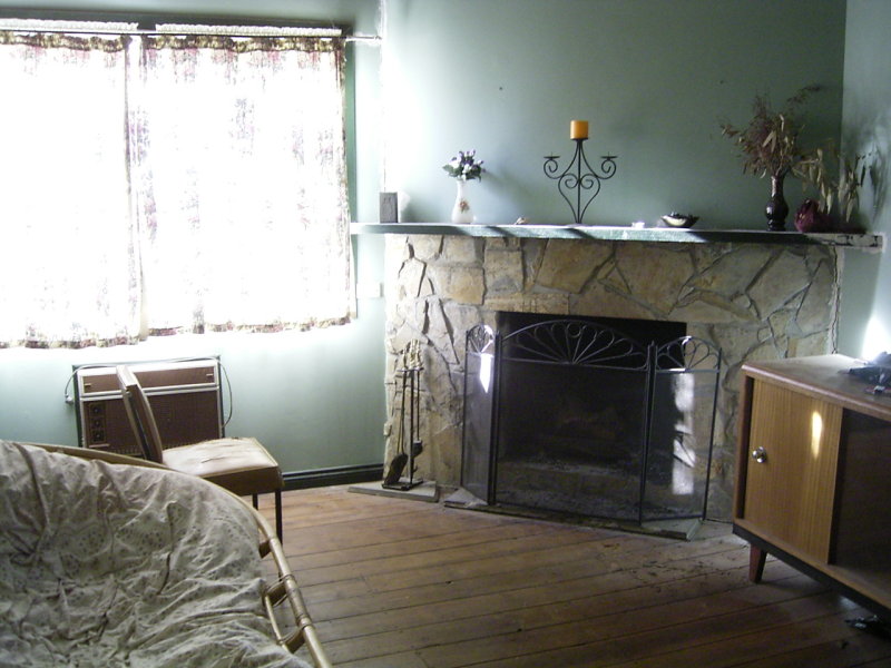 INVESTMENT WINNER( PRICE REDUCTION) Picture 3