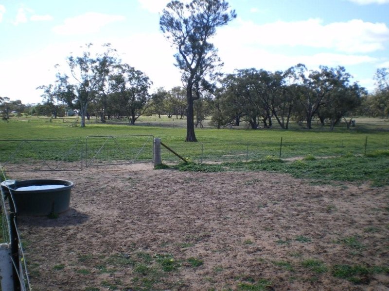 Scarce As Hens Teeth
REDUCED TO SELL! Picture 3