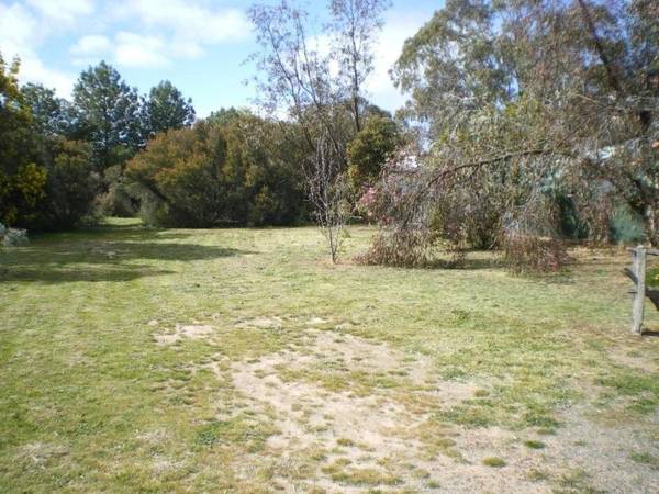 THE GARDEN IS ALREADY DONE Picture