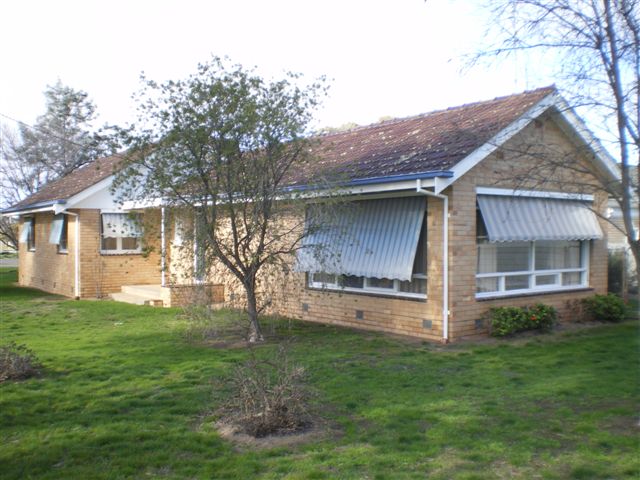 BRICKS ON A BUDGET- GREAT NEW PRICE! Picture 1