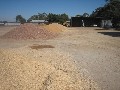 AUCTION SATURDAY 23RD MAY 2009 10.00 AM
BULOKE SAND & SOIL - BORUNG HIGHWAY DONALD Picture