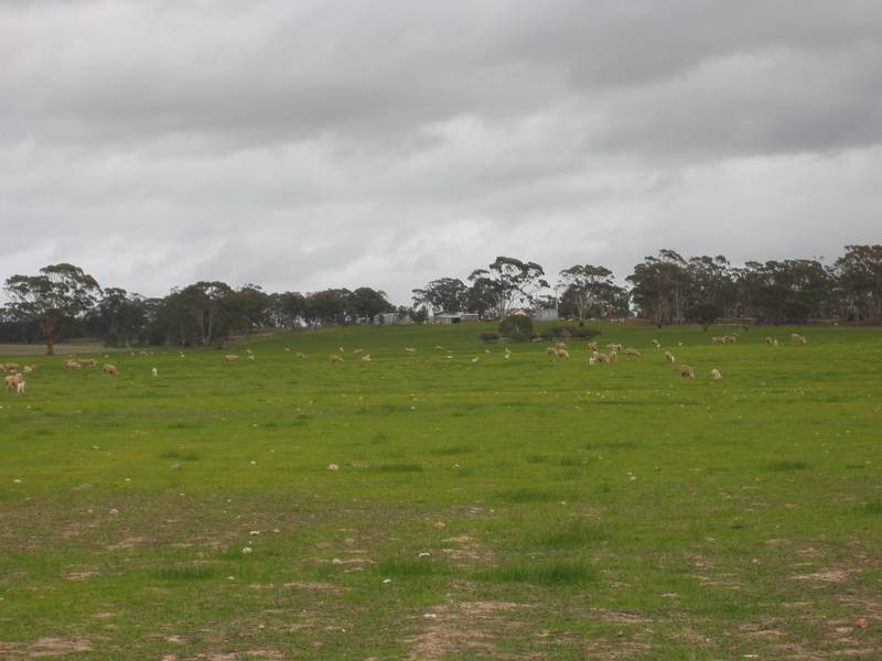 Lot 2 -VERSATILE CROPPING AND GRAZING LAND Picture 2