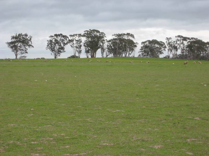 Lot 2 -VERSATILE CROPPING AND GRAZING LAND Picture 1