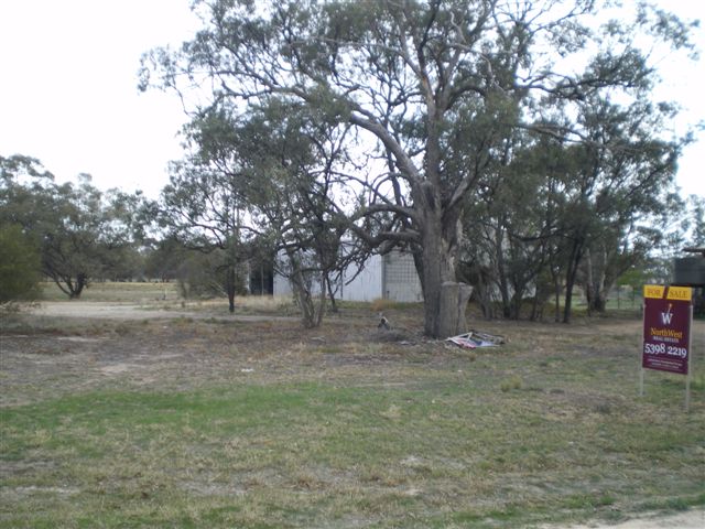 WHAT A SHED! Picture 3