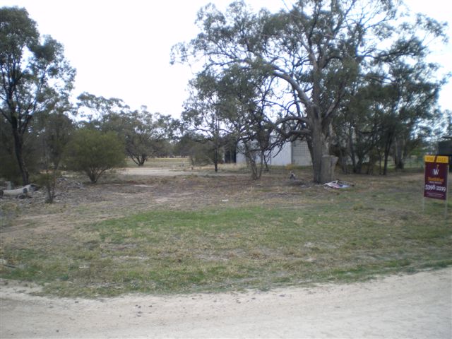 WHAT A SHED! Picture 2