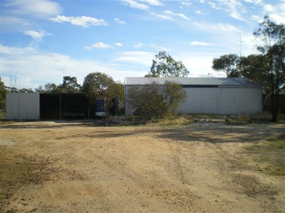 WHAT A SHED! Picture