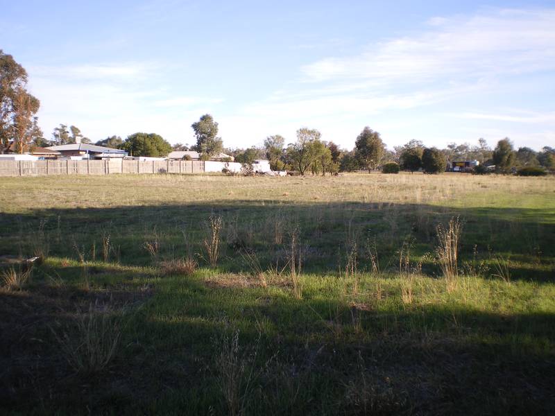 LOT 17 TO 20 - VACANT LAND DIMBOOLA Picture 1