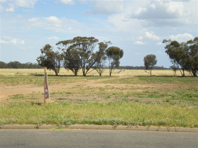 POSITION IS EVERYTHING Picture 1