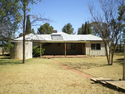 GET BACK TO NATURE- NEW PRICE! Picture