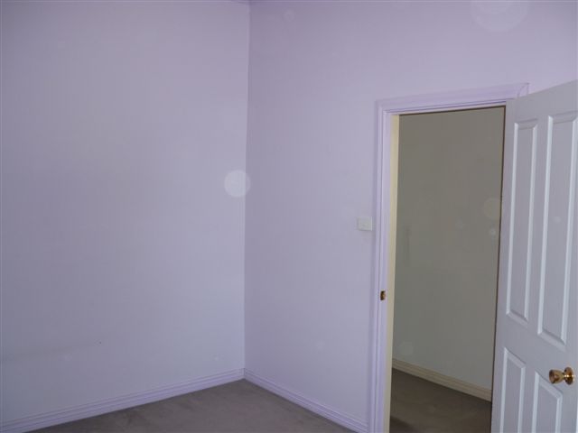 A SURPRISE PACKED-REDUCED Picture 3