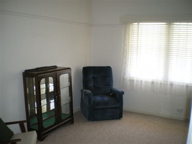 LITTLE RIPPER Picture 3