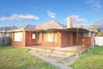 CORNER THE MARKET Picture CORNER THE MARKET Picture