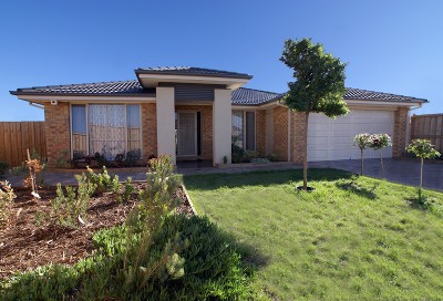 IN ONE WORD... PERFECT Picture