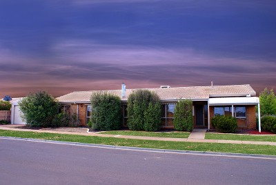 THE COMPLETE ENTERTAINER Picture