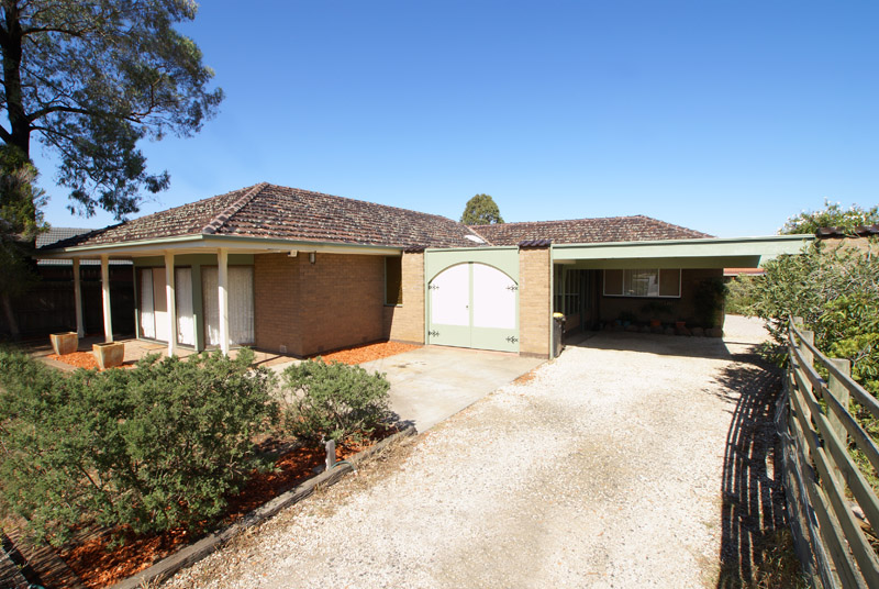 LIMITLESS POTENTIAL Picture 3