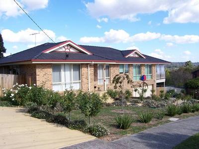 ABSOLUTELY STUNNING! Picture ABSOLUTELY STUNNING! Picture