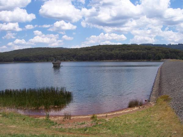 1 ACRE(APPROX.) DREAM ALLOTMENTS. Picture 2