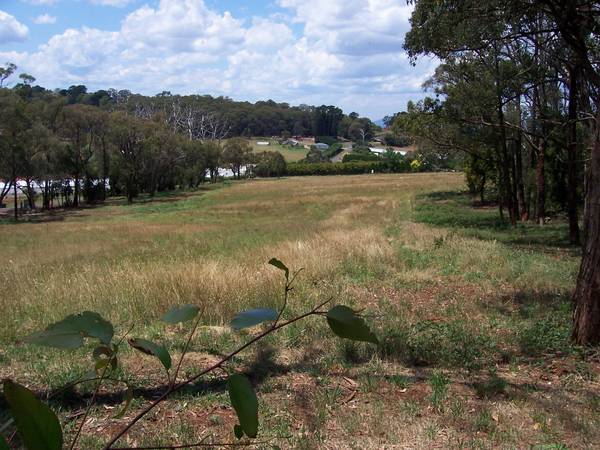 1 ACRE(APPROX.) DREAM ALLOTMENTS. Picture 1