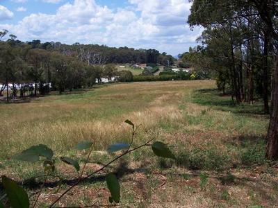 1 ACRE(APPROX.) DREAM ALLOTMENTS. Picture