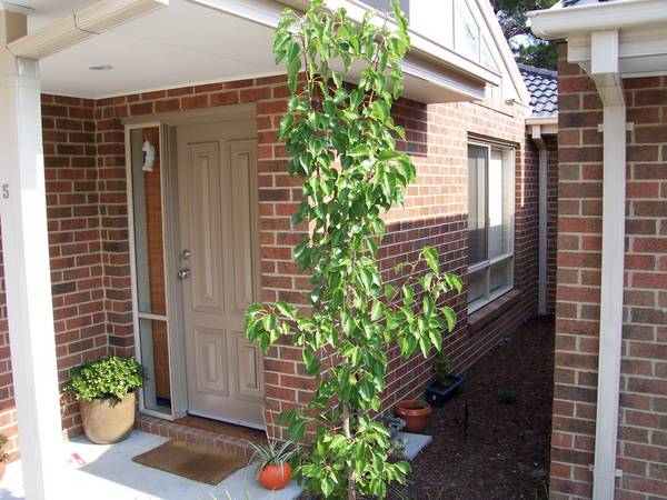 CONTEMPORARY TOWNHOUSE Picture 2