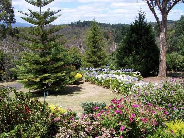 HEAVEN ON AN ACRE Picture 3