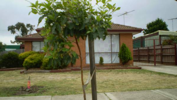 ALMOST BRAND NEW Picture 2