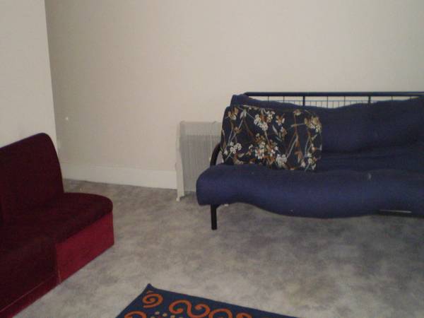 WHO NEED'S A CAR? Picture WHO NEED'S A CAR? Picture