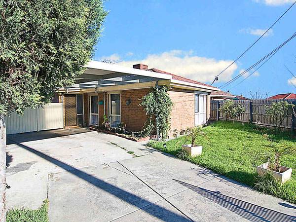 A WINNER FOR THE BEGINNER Picture 2