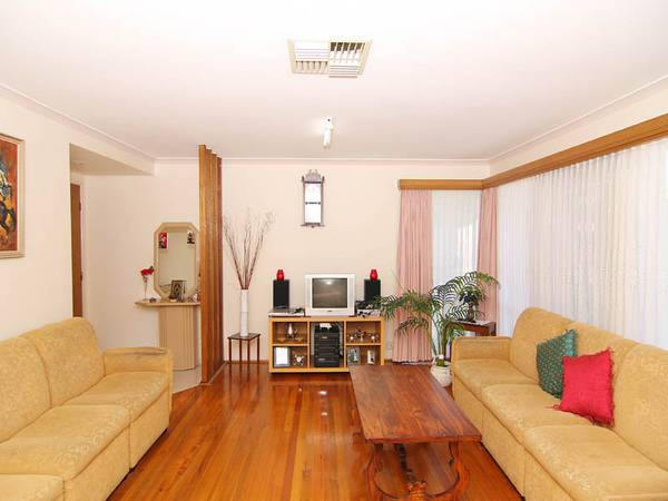 A WINNER FOR THE BEGINNER Picture 3