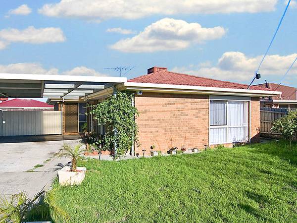 A WINNER FOR THE BEGINNER Picture 1