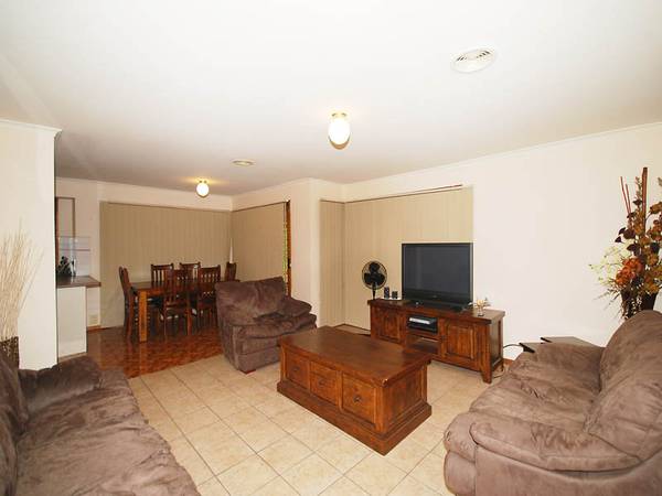 A WINNER FOR THE BEGINNER Picture