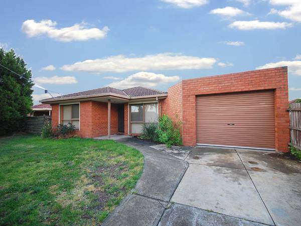 A WINNER FOR THE BEGINNER Picture