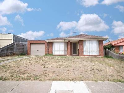 AN OPPORTUNITY NOT TO MISS Picture AN OPPORTUNITY NOT TO MISS Picture