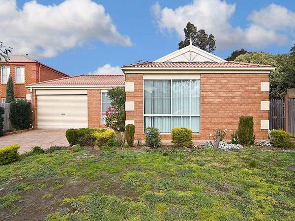 BRING ON THE BIG FAMILY Picture