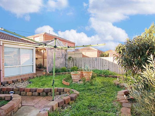 BRING ON THE BIG FAMILY Picture