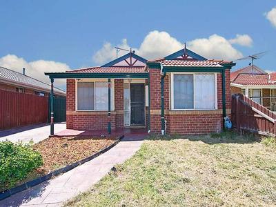 THE ONE DAY IS TODAY Picture THE ONE DAY IS TODAY Picture