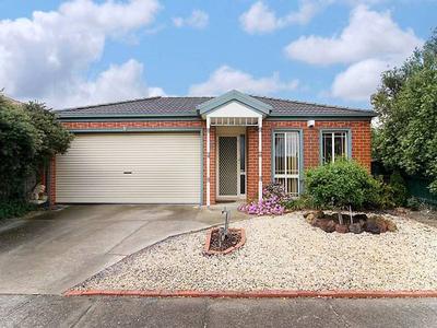 YOUR SEARCH IS OVER Picture YOUR SEARCH IS OVER Picture