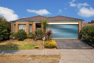 EYE TEASER, PURSE PLEASER Picture