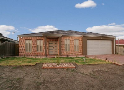 NEW BORN HOUSE Picture