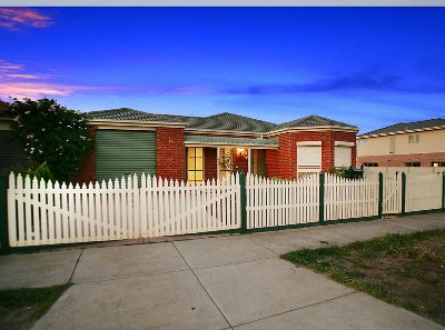 MORE OF EVERYTHING FOR THE FAMILY Picture