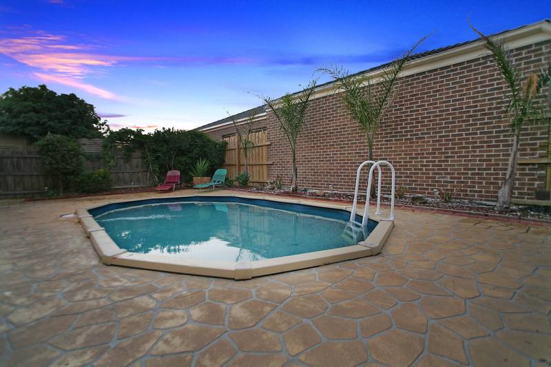 MORE OF EVERYTHING FOR THE FAMILY Picture 2