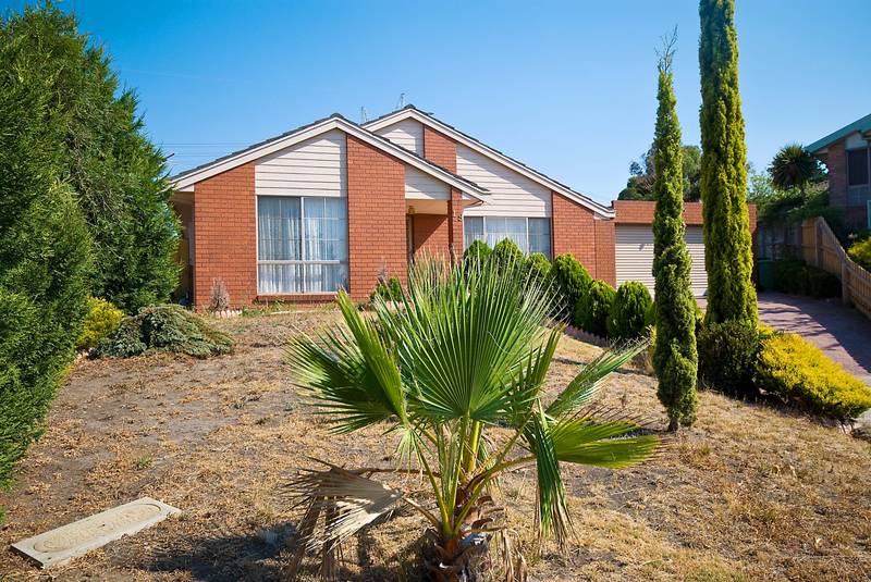 OTHERS TOO EXPENSIVE?? TAKE A LOOK AT THIS!! Picture 1